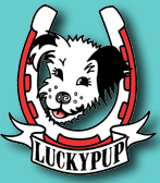 lucky pup designs
