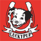 lucky pup tee