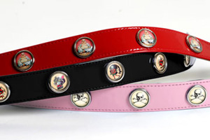 pictovision collars