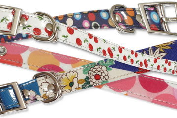 lucky pup slicker collars
