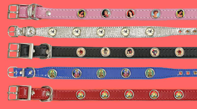 pictovision collars